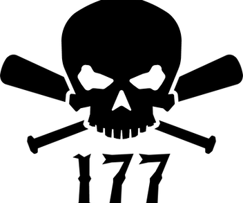 skull_and_bats_logo_3.png