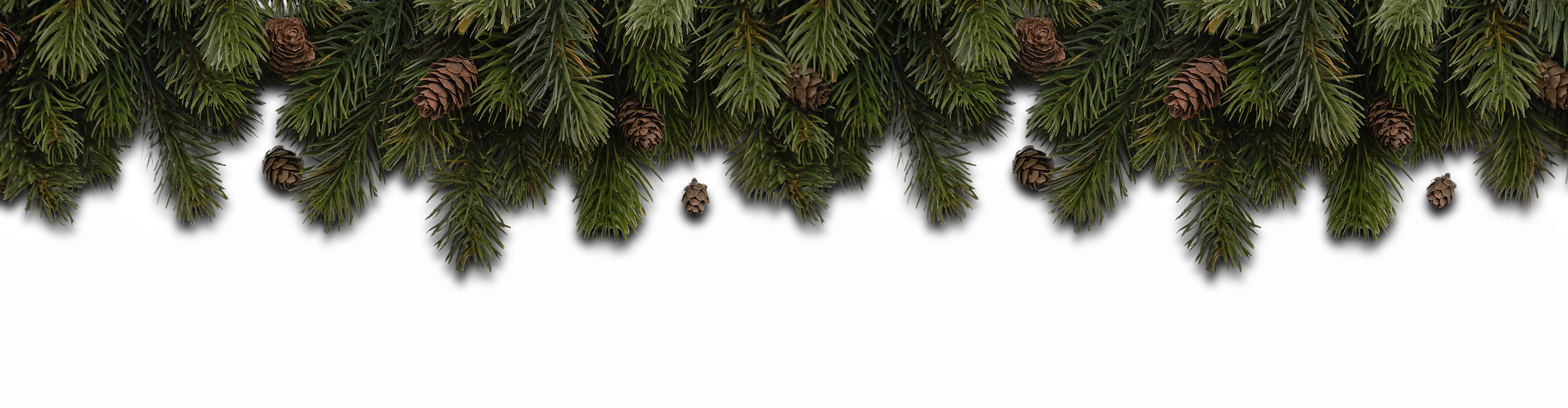 fir_branches.png