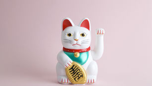 【22世紀まで】 (文：あおい)