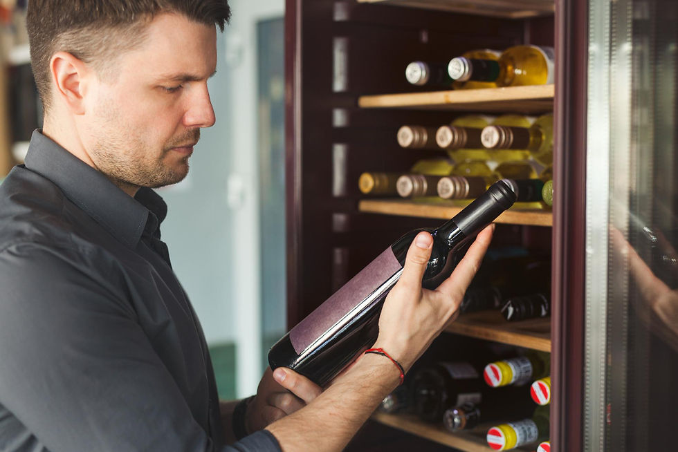 wine chiller repair