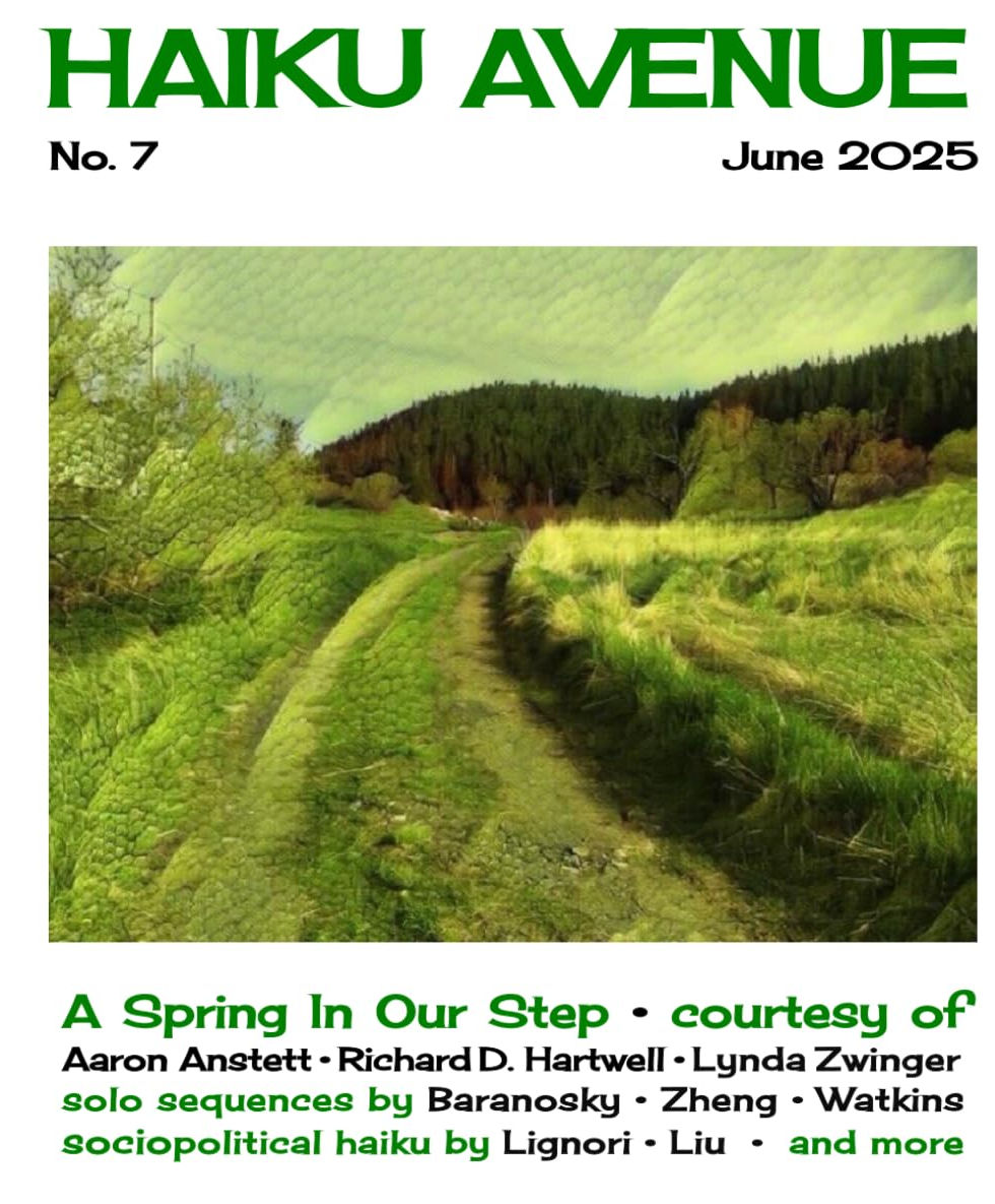 Haiku Avenue No 7 front cover.jpg