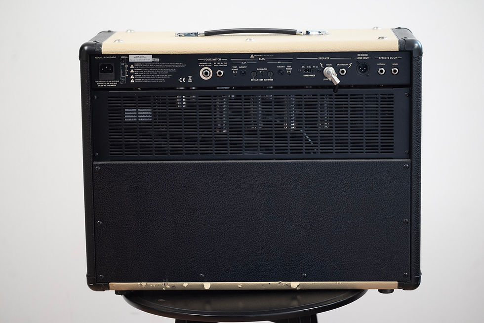 Thumbnail: Egnator Renegade 112 1x12 Combo Amplifier