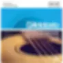 D'Addario EJ38 Light 12 String Acoustic 10-47