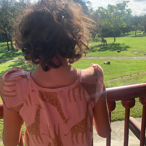Animal Kingdom Lodge at Disney World Savanna View