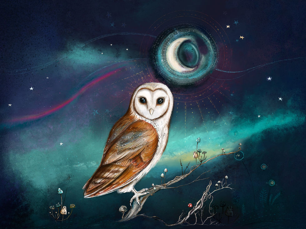 Owl_iPad_Wallpaper_2732_2048_Landscape.jpg