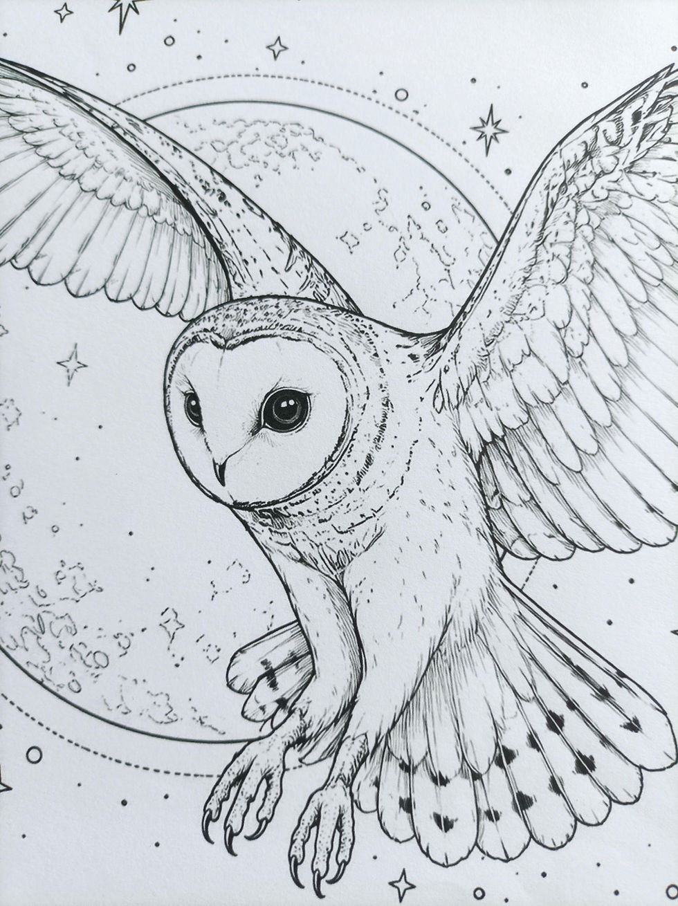 Thumbnail: Owl & Moon Printable Colouring Page