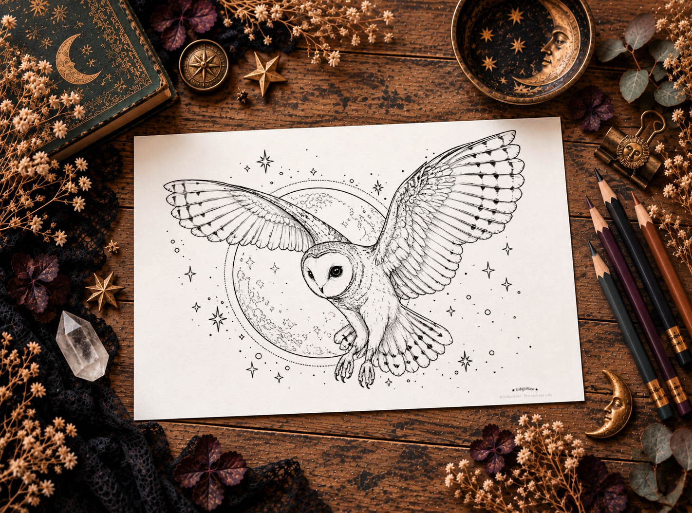 Owl & Moon Printable Colouring Page