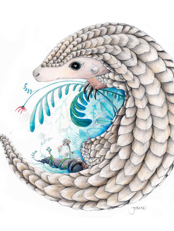 A rolled up Pangolin illustration looking calm and relaxed