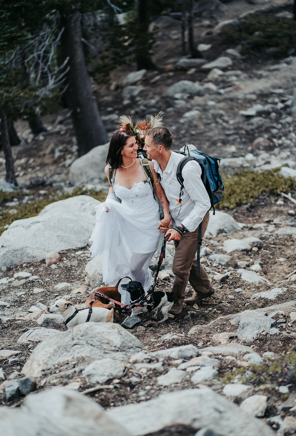 An Adventure Elopement couple hiking with their dogs in the Summer in Lake Tahoe