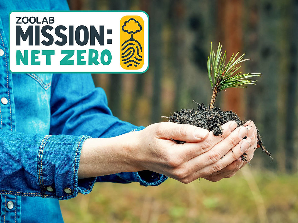 Person in a denim shirt holds a small sapling with soil; overlay reads ZOOLAB MISSION: NET ZERO on a forest background.
