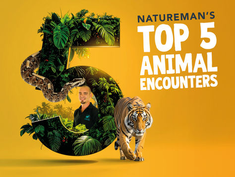 Natureman's Top 5 Animal Encounters