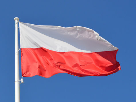 10 Fun Facts about Polish Animals