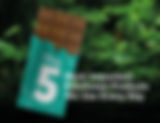 The 5 Most Important Rainforest Products We Use Every Day