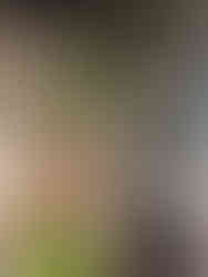 Underside of katydid