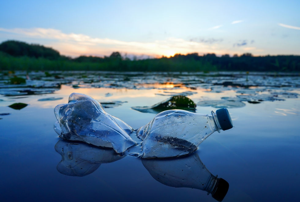A crushed plastic bottle floats on a serene lake at sunset, surrounded by lily pads. The scene conveys pollution amid natural beauty.