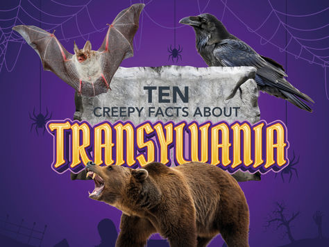 10 Creepy Facts about Transylvanian Animals