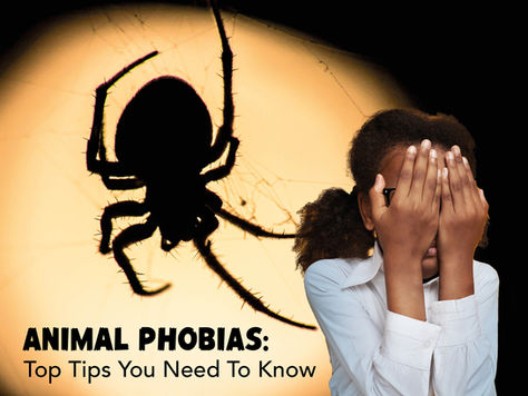 Animal Phobias: Top Tips You Need To Know