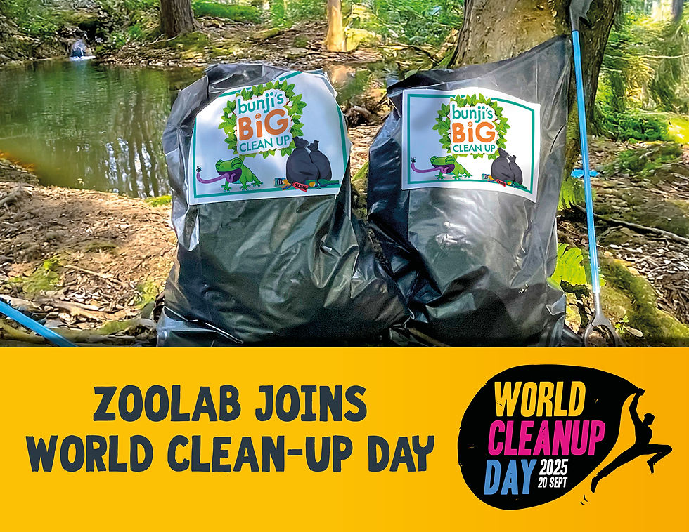 Trash bags labeled "Bunji's Big Clean Up" sit in a wooded area by a pond. Text reads "Zoolab Joins World Clean-Up Day 2025, 20 Sept."
