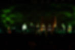 1642_DSC08669-3699877444-O.jpg