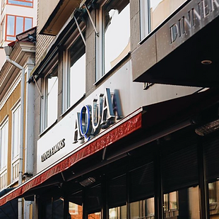 Screenshot 2024-10-25 at 12.25.00.png