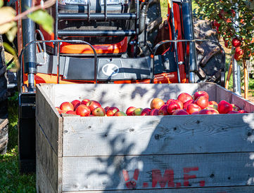 JEC Gallery_0009_0-8.jpg