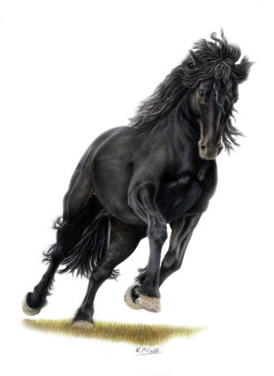equine portrait artist shrewsbury