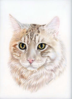 shrewsbury pet portraits, UK pet portrait atrist, animal artist animal portraits UK, Animal art portraits Shropshire
