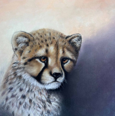 Big Cat portrait artist, bug cat artist, Shropshire, Big Cat artist Shropshire, cheetah big cat artist Shropshire