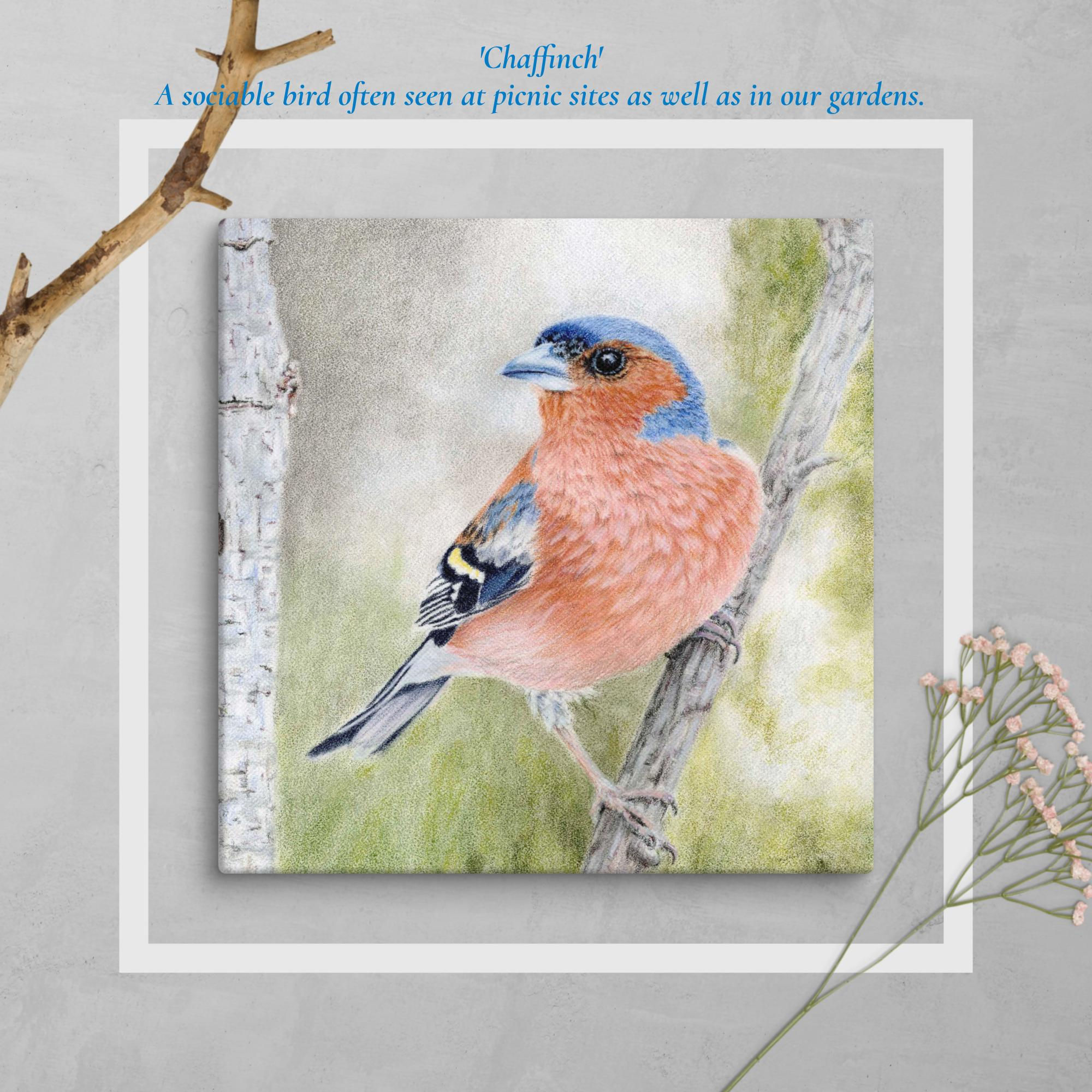 'Chaffinch'