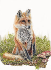 wildlife artist shrewsbury