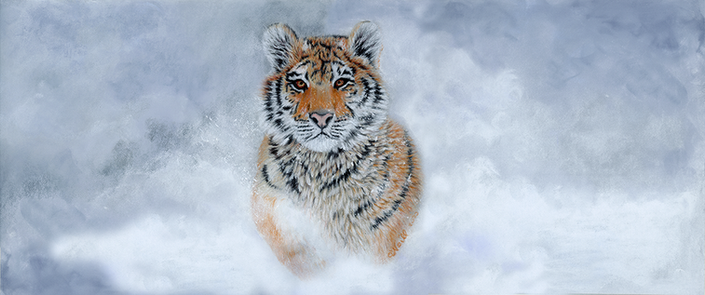 wildlife artist O'Neill animal art