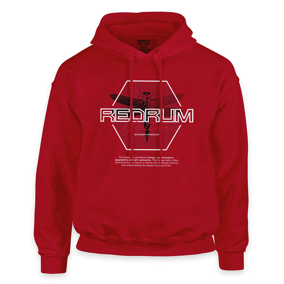 Thumbnail: Lost And Found 1 Dragonfly Pullover Hoodie