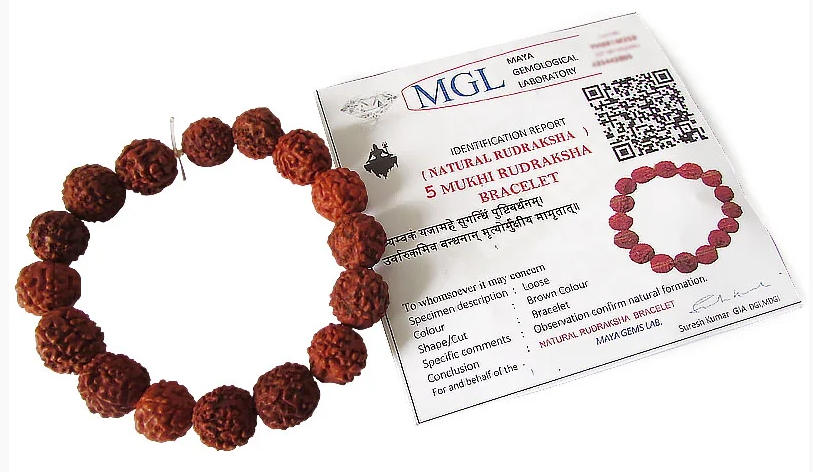 Pulseira de Rudraksha Original da Índia 8mm - Proteção e Harmonia
