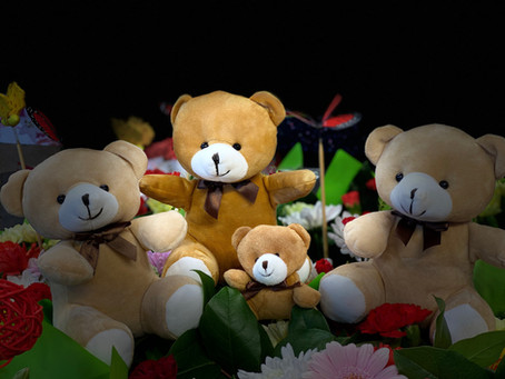 Teddy Bear Picnic...