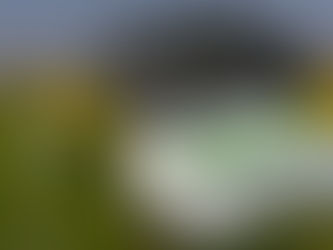 Druckausgleichselemente, Outdoor
