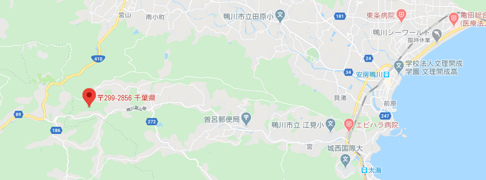 Google map pic.png
