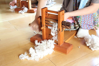 ホーム | 千葉県鴨川市 | 鴨川和棉農園