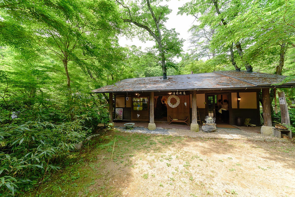 花 展示