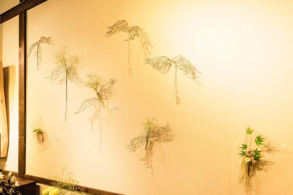 花 展示