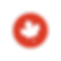 Flag_Red.png