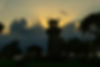 DSC07911.jpg