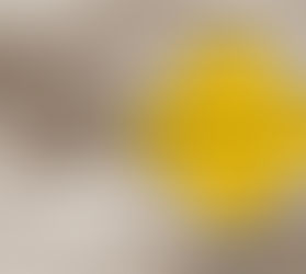 Cut Southend Council payroll by 15% and wipe out the deficit and potential bankruptcy