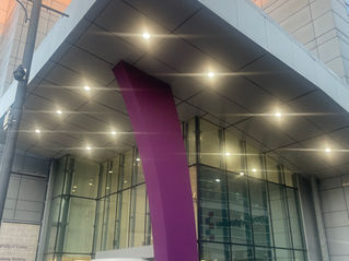 Southend Labour’s ‘Plan B’ is to help sell the Southend Campus of the University of Essex