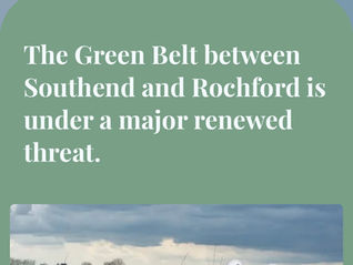 Beaten cross-party motion means green belt land in Southend has never been more vulnerable