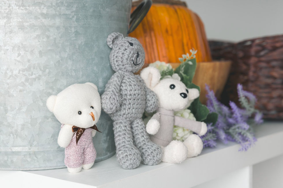 Newborn photo studio Victoria BC