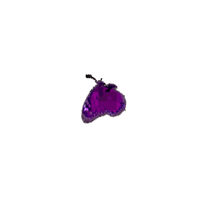 giphy-2.gif