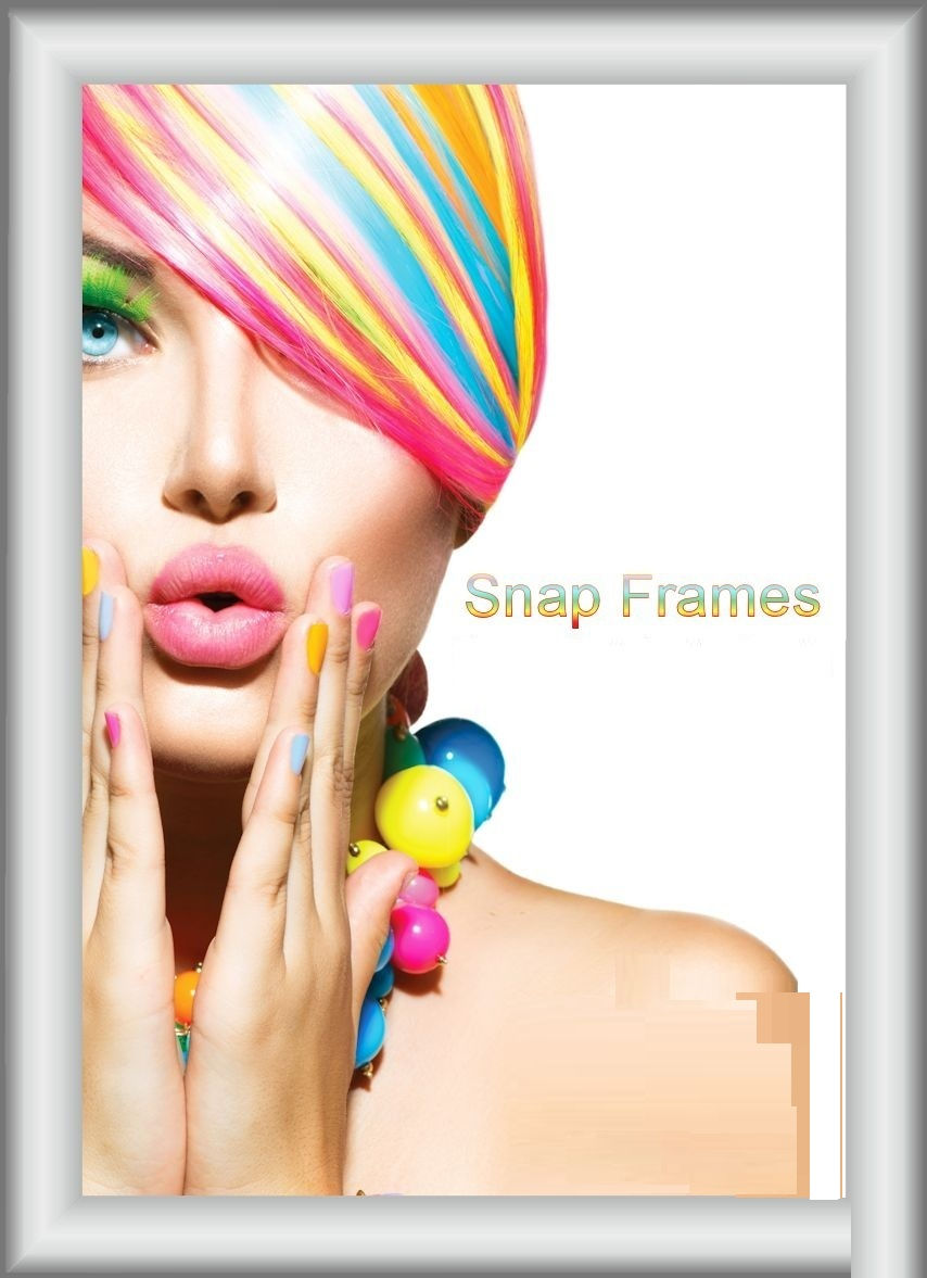 SIGNAGE-SNAP FRAMES