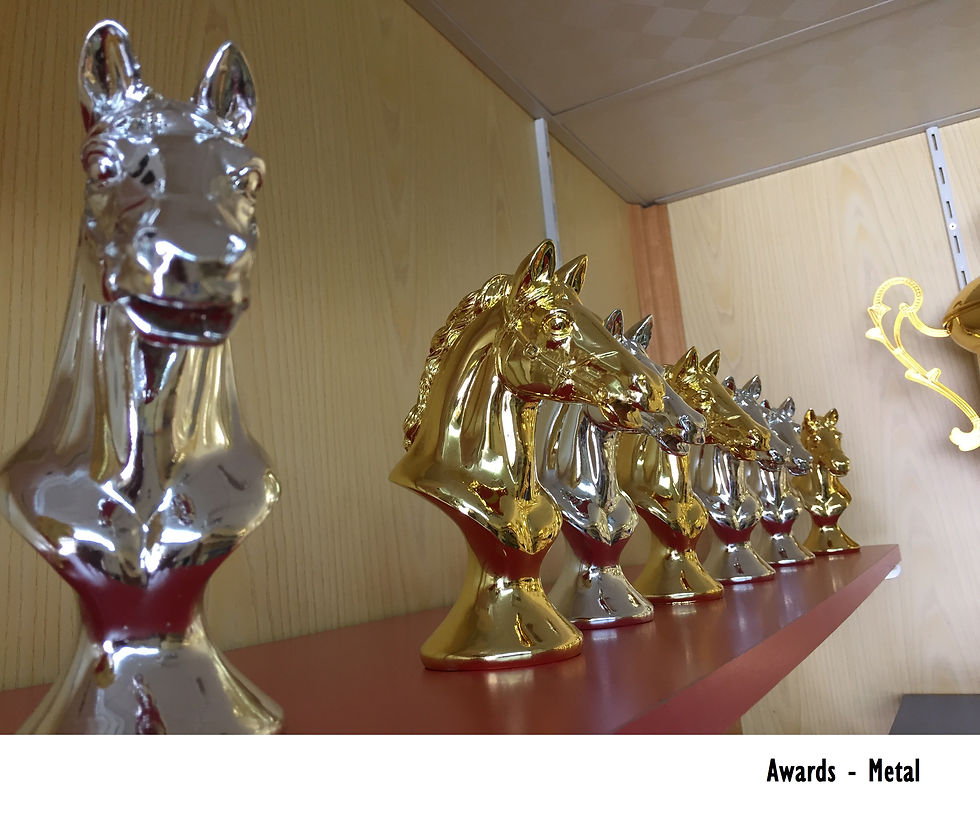 AWARDS-IMG_4824