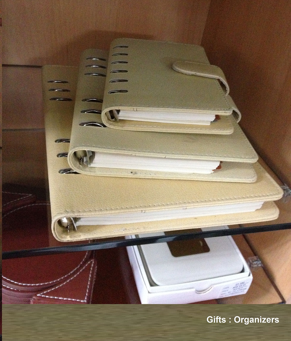 GIFTS-LEATHER-Pu organizers