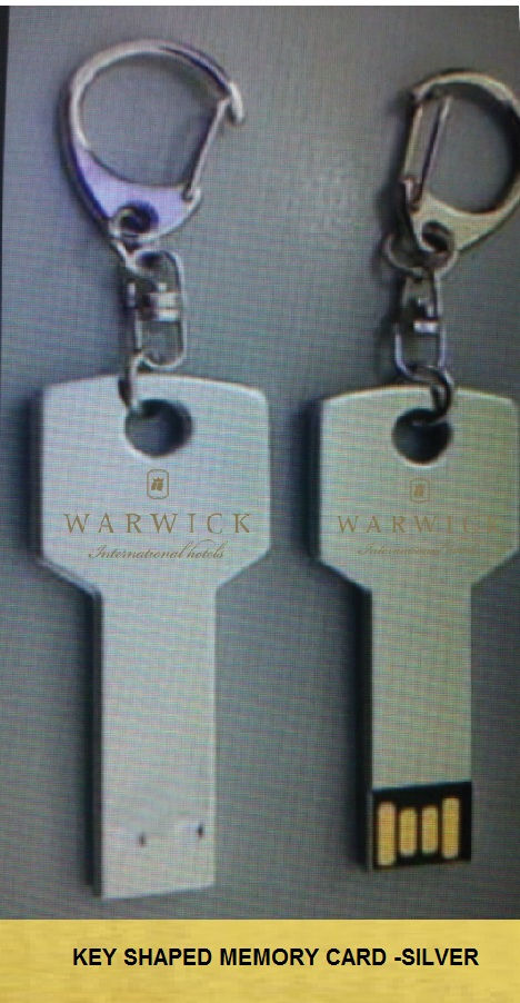 gifts-usb-WARWICK-USB-International---300-pcs
